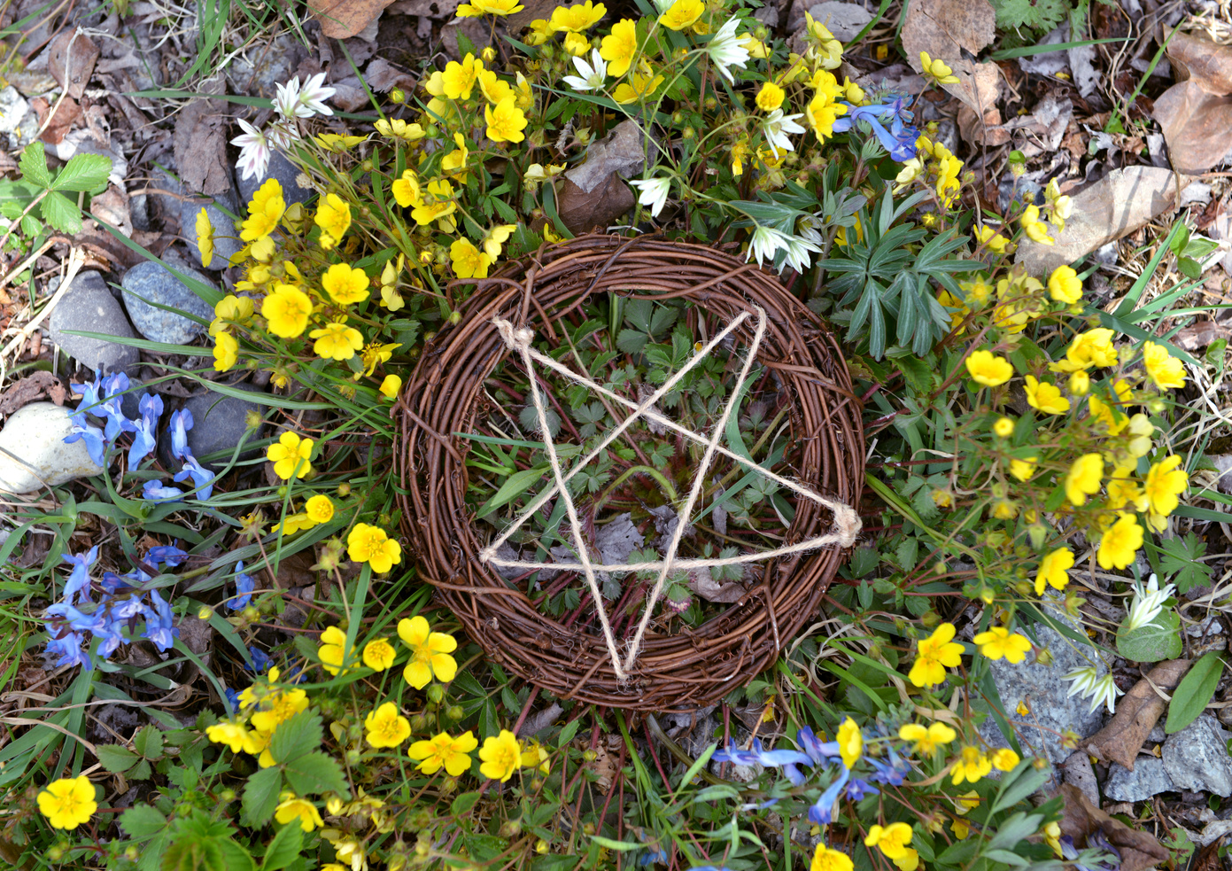 Top view of wooden pentagram in grass and flowers.