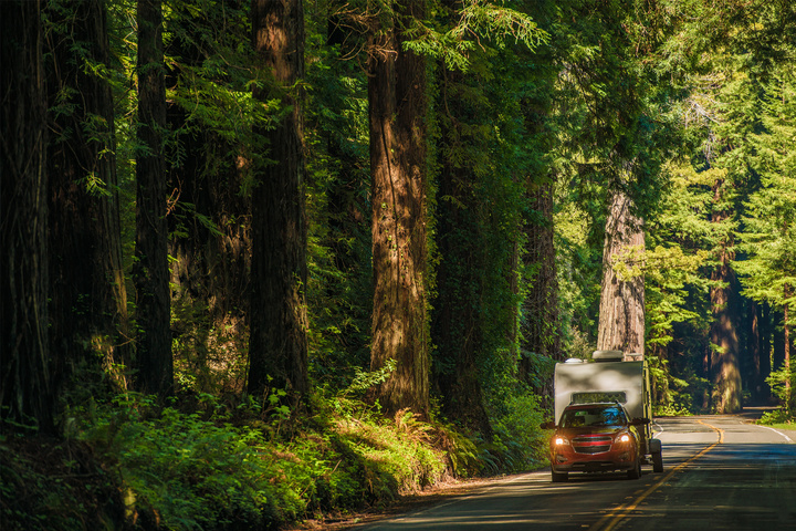 California Camper